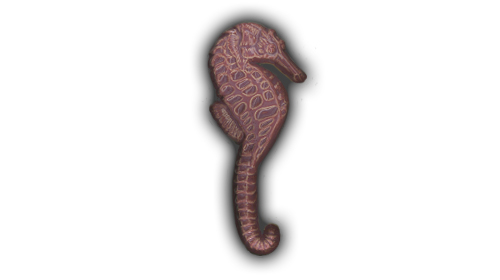 large seahorse