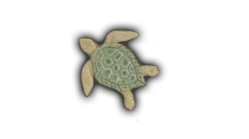 small flat sea turtle